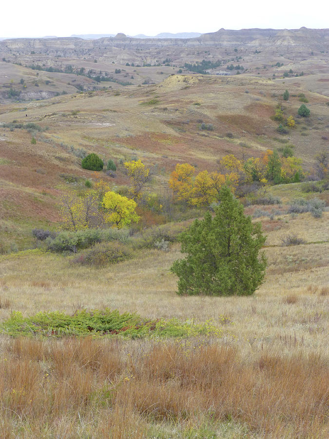Autumn on the Grassy Badlands Photograph by Cris Fulton