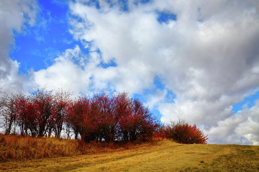 Autumn on the Horizon Photograph by David Patterson