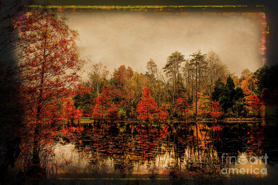 Autumn On The Lake Photograph by Darren Fisher