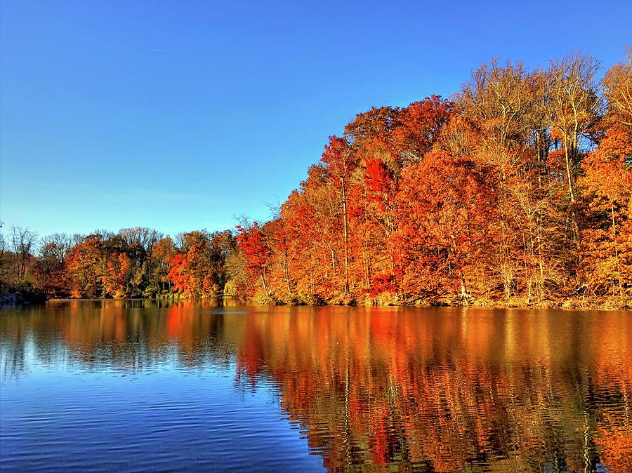 Autumn On The Lake Photograph
