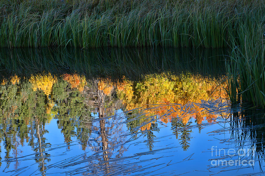 Autumn on the Lake Photograph by Jim Garrison