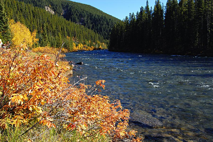Autumn on the Maligne River Photograph by Larry Ricker