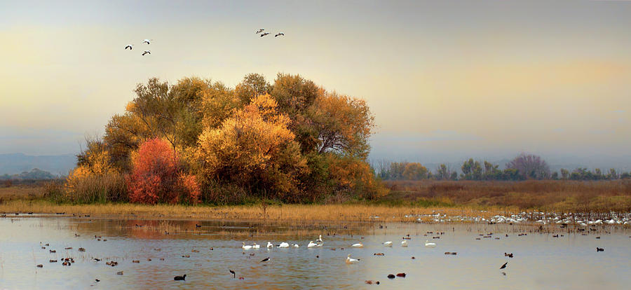 Autumn on the Marsh Photograph by Floyd Hopper