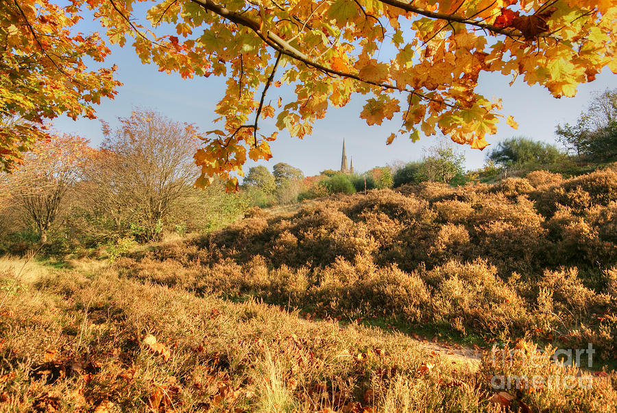 Autumn On The Moor Photograph by David Birchall