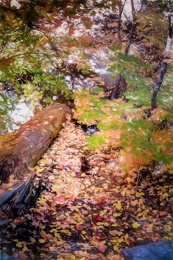 Autumn on the Mountain by Steve Kelley Autumn on the Mountain by Steve Kelley