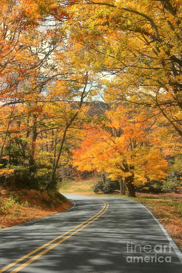 Autumn on the Parkway Photograph by Benanne Stiens