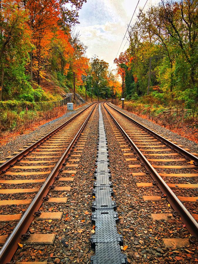Autumn On The Railroad Photograph
