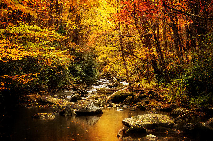 Autumn On The Tellico River Photograph by Greg and Chrystal Mimbs