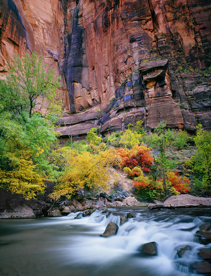 Zion National Park Photograph - Autumn on the Virgin River by Nathan Mccreery