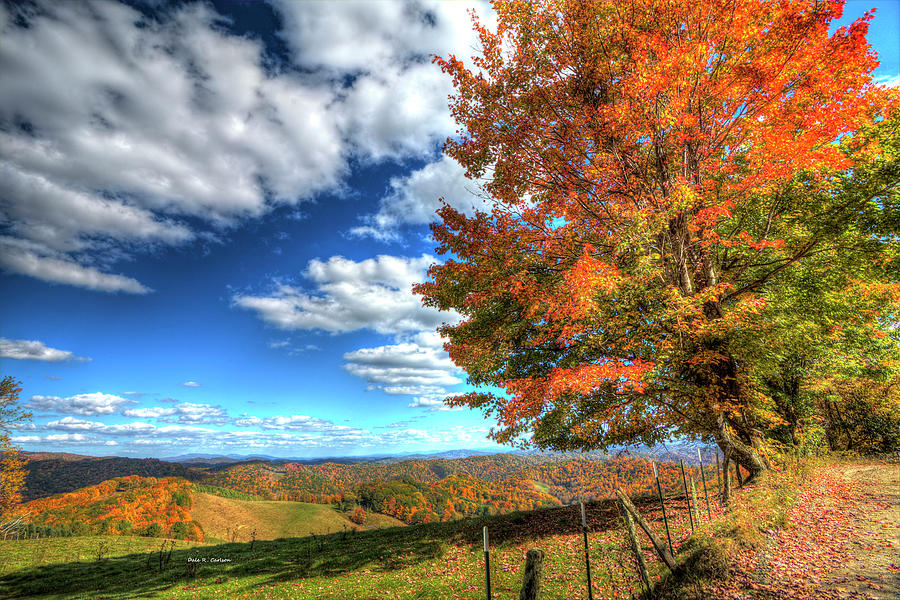 Autumn on the Windfall Photograph by Dale R Carlson