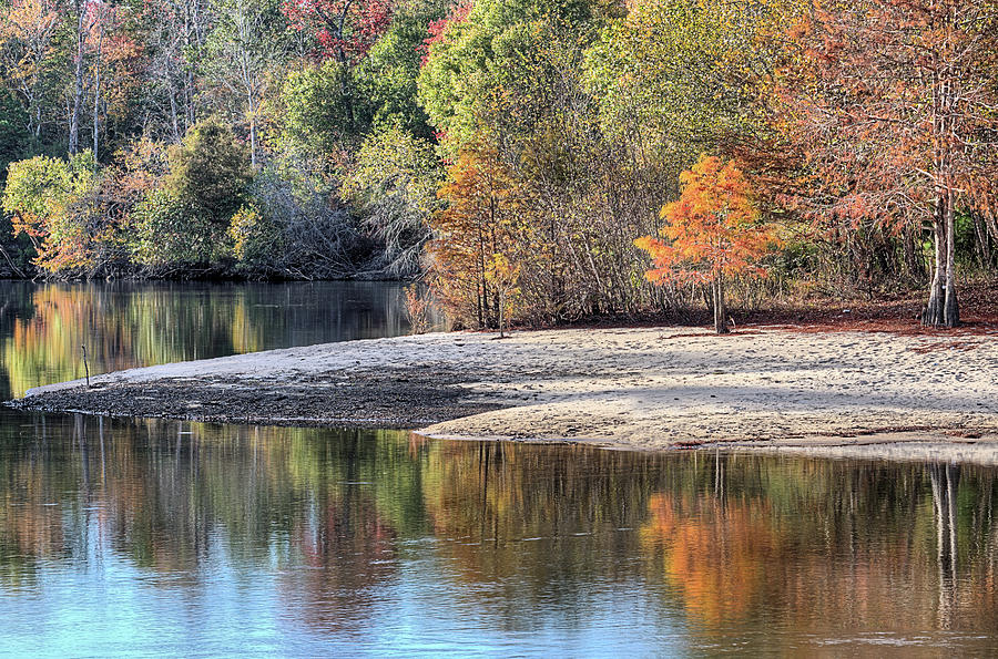 Cypress Tree Photograph - Autumn On The Yellow River by JC Findley