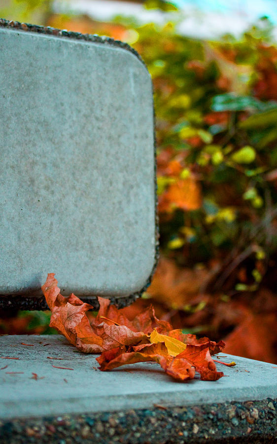 Autumn Once Again - Park Bench Photograph by Marie Jamieson