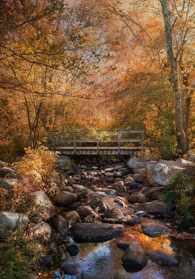 Autumn Over The Bridge Photograph by Robin-Lee Vieira