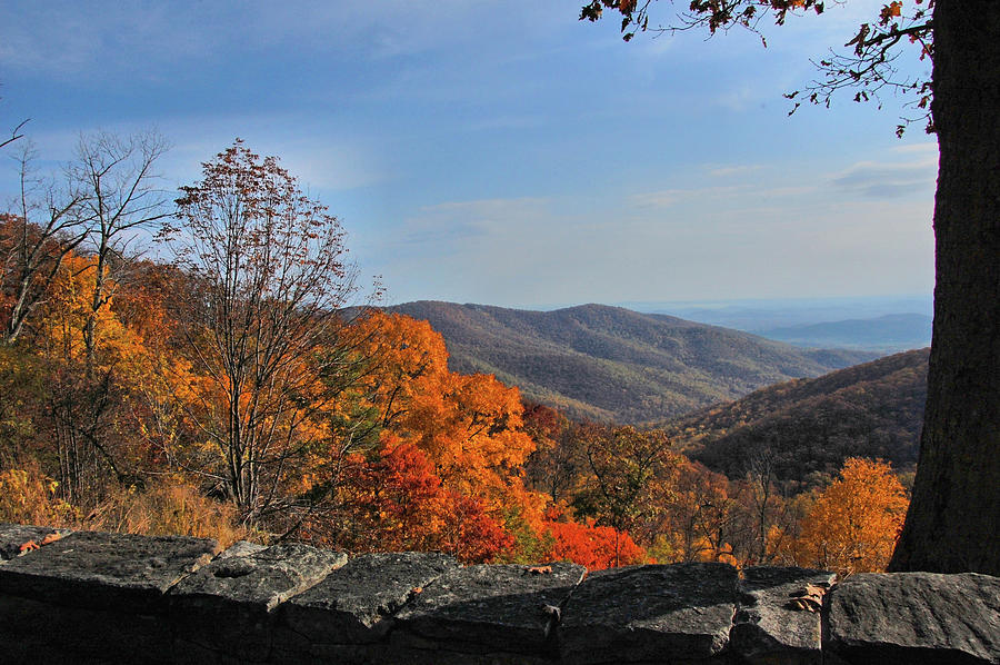 Autumn over the Shenandoah Valley Photograph by Ben Prepelka