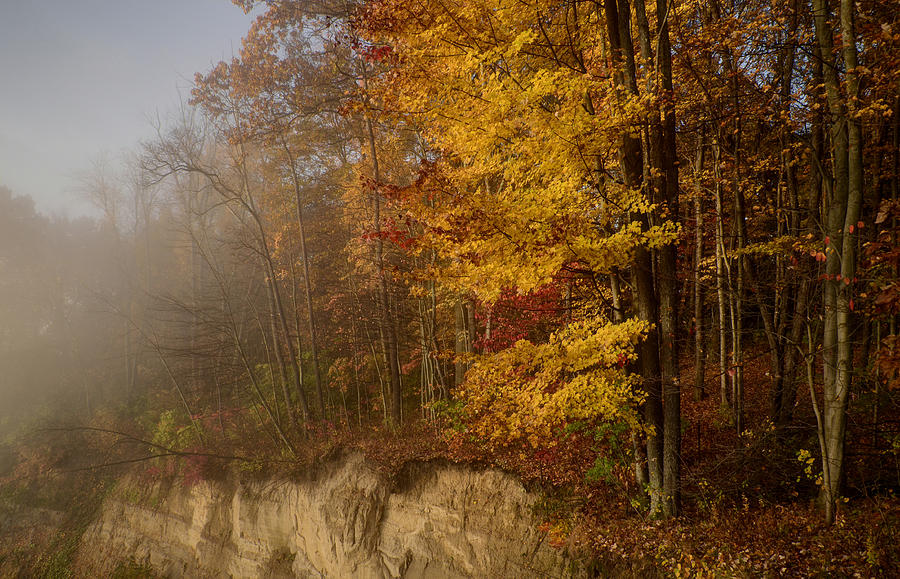Autumn Overlook Photograph by Ann Bridges