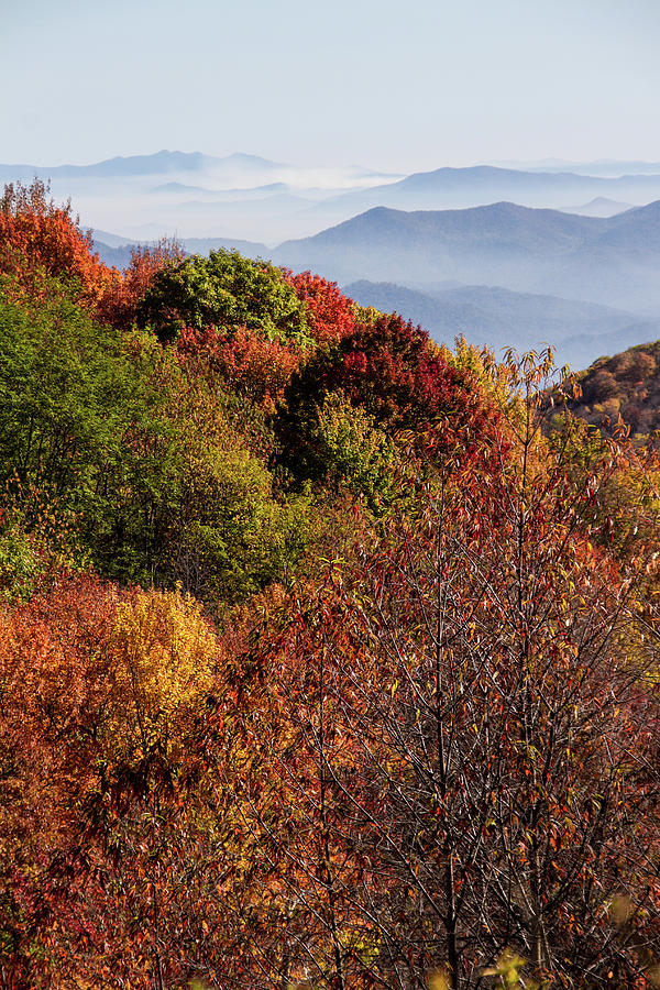 Autumn Overlook in Beauty Photograph by Debra and Dave Vanderlaan