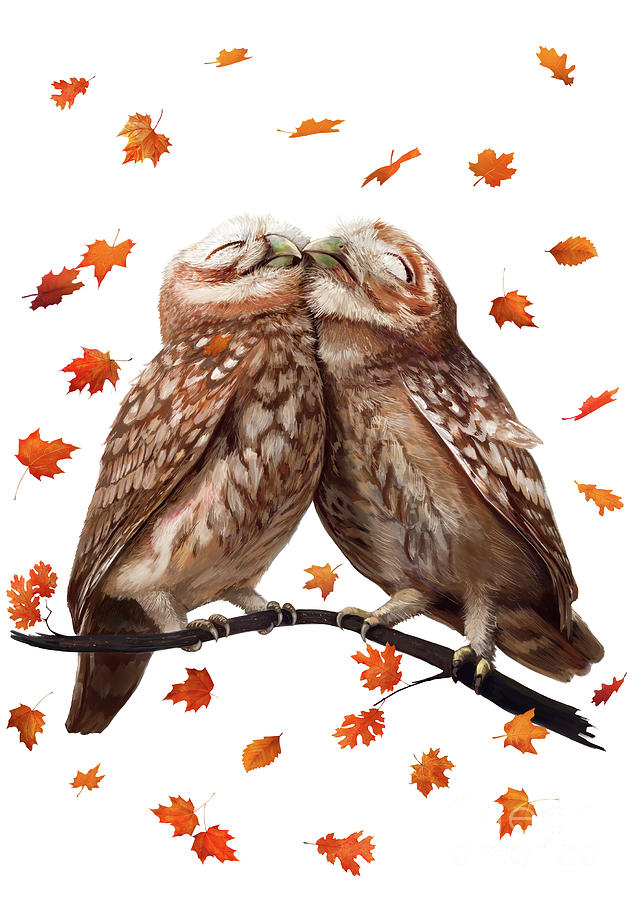 Owl Photograph - Autumn owl by Korenkova Valeriya