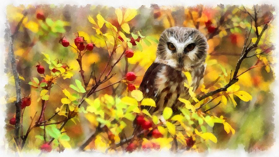 Fruit Painting - Autumn Owl by Maciek Froncisz