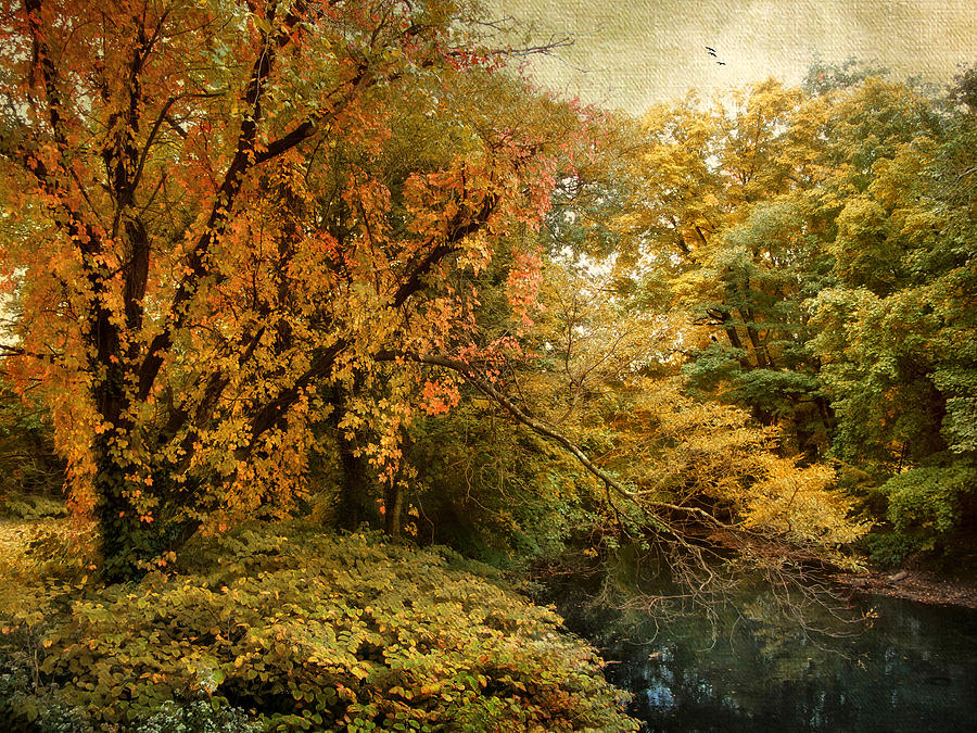 Nature Photograph - Autumn Palette by Jessica Jenney