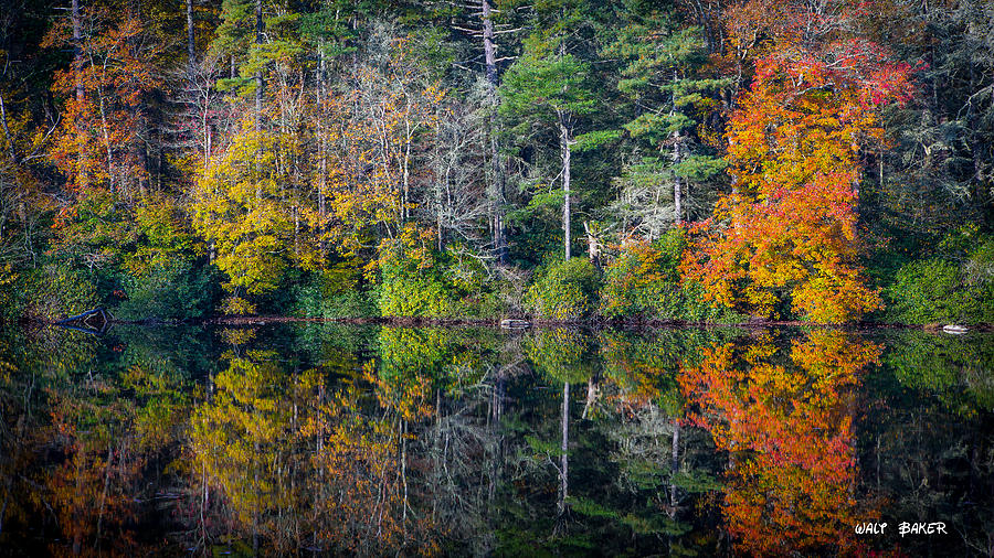 Autumn Palette Photograph by Walt  Baker
