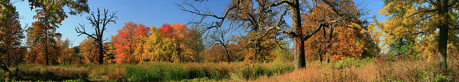 Autumn panorama Forest Park Photograph by Garry McMichael