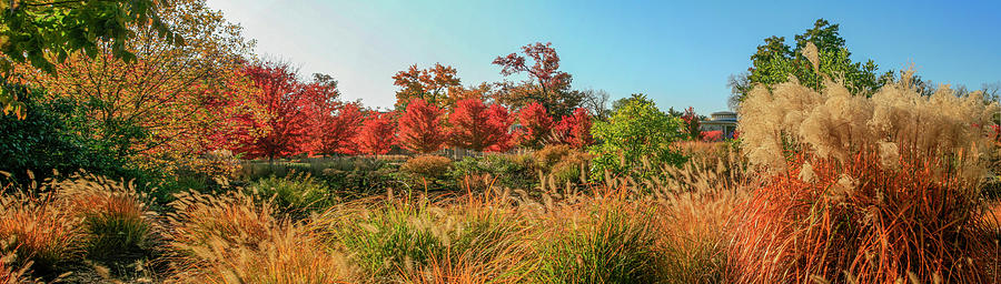 Tree Photograph - Autumn Panorama  by Garry McMichael