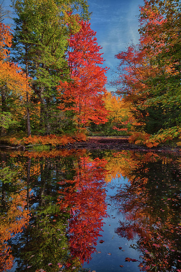 Autumn Paradise Photograph by Irwin Barrett