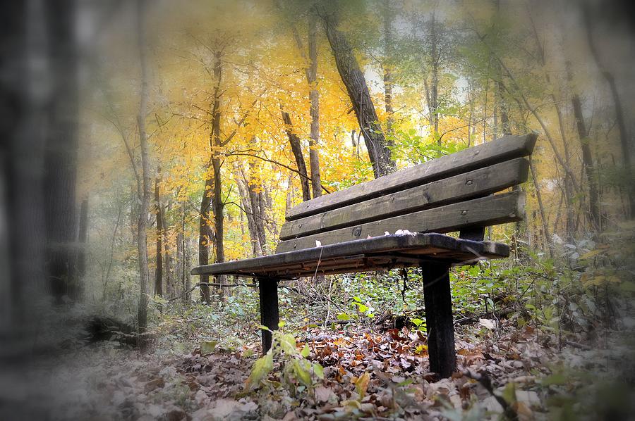 Autumn Park Bench Photograph by Bonfire Photography