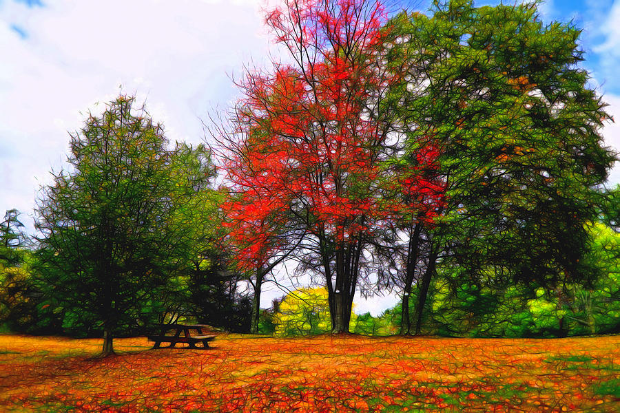 Autumn Park Painterly Digital Art by Lilia S
