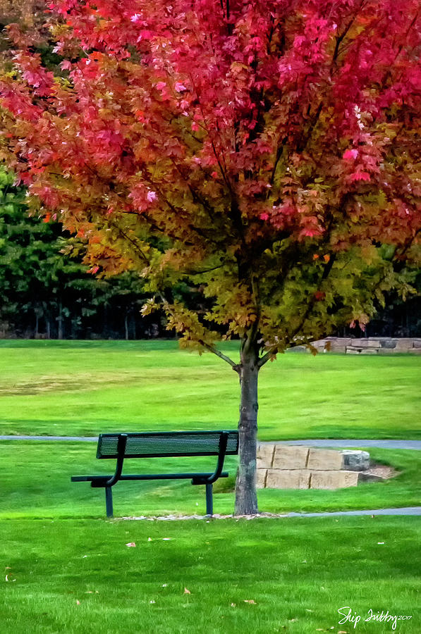 Autumn Park Photograph by Skip Tribby