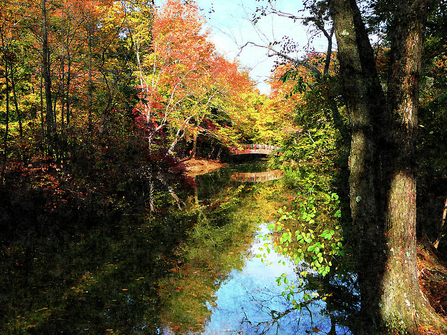Fall Photograph - Autumn Park With Bridge by Susan Savad