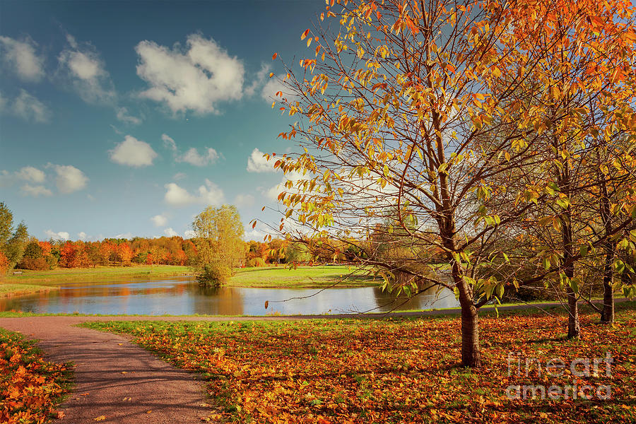 Autumn park with pond Photograph by Sophie McAulay