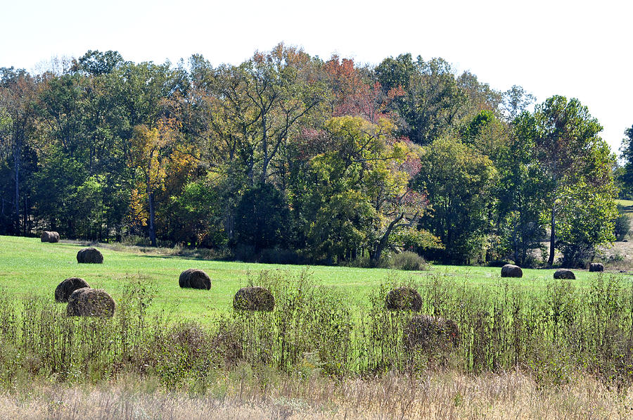Autumn Pastures Photograph by Jan Amiss Photography