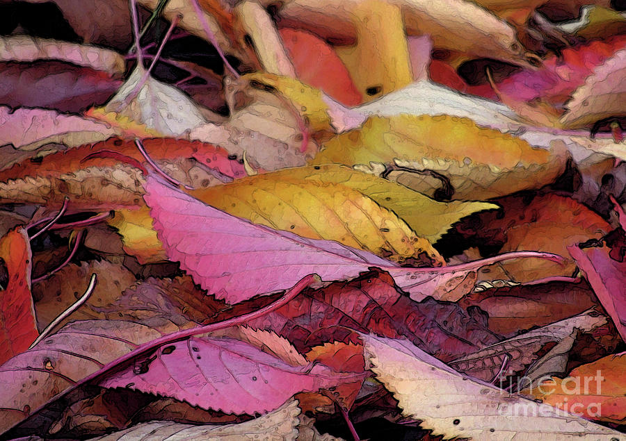 Autumn Path 3 Photograph by Kim Tran
