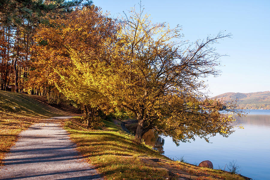 Autumn Path along the Lake Shore Photograph by Jenny Rainbow