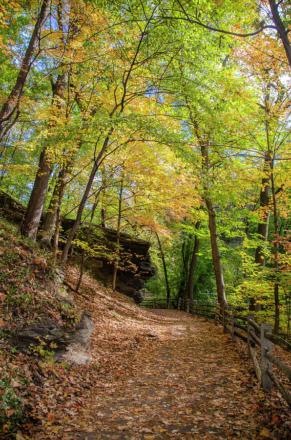 Autumn Path Along the Wissahickon Creek Photograph by Bill Cannon