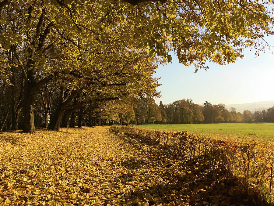 Autumn path in the Lichtentaler Allee Photograph by Gerlya Sunshine ...