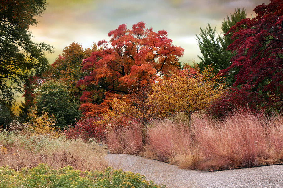 Autumn Path Photograph by Jessica Jenney