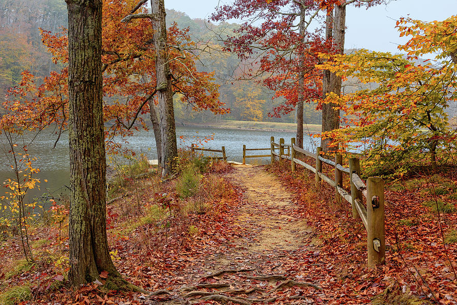 Fall Photograph - Autumn Path by Ken Cave