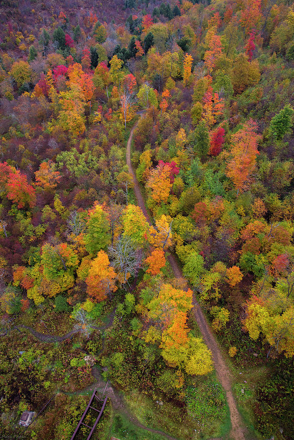 Autumn Path Photograph by Mark Papke