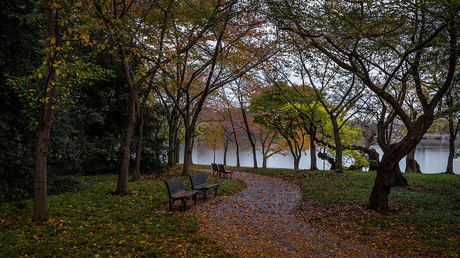 Autumn Path Photograph by Michael Donahue