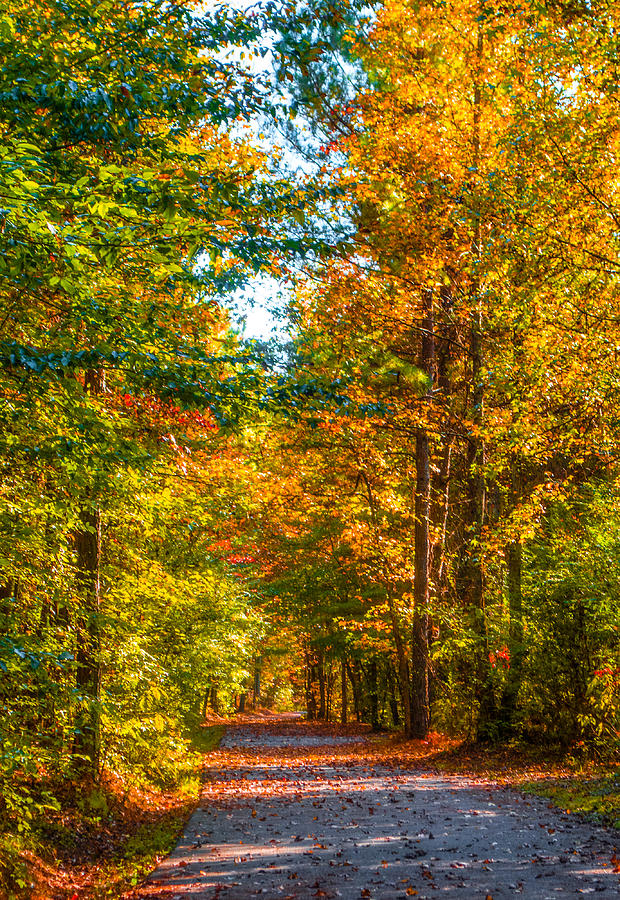 Nature Photograph - Autumn Path by Parker Cunningham