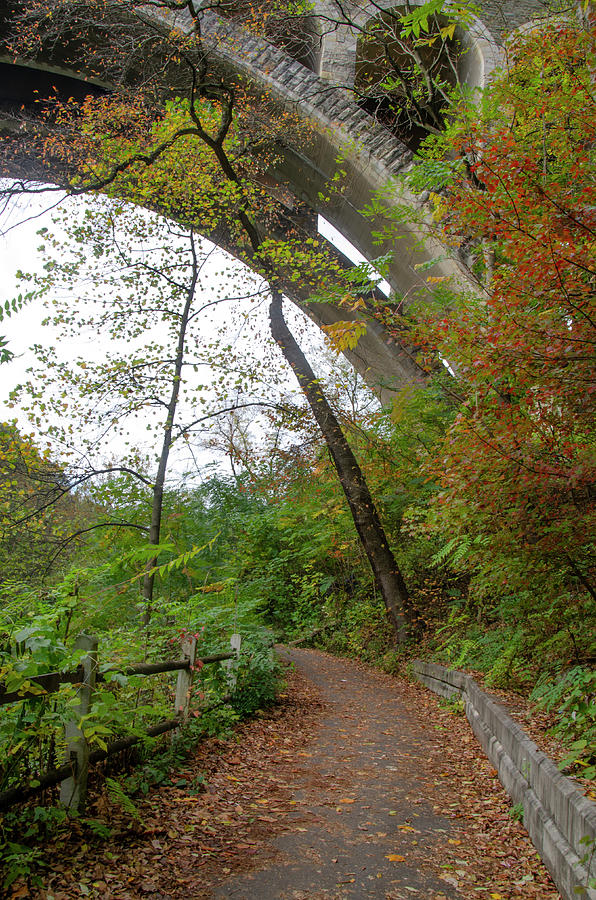 Autumn Path Under the Henry Avenue Bridge Photograph by Bill Cannon