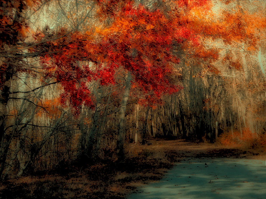 Autumn Pathway Photograph by Gary Blackman