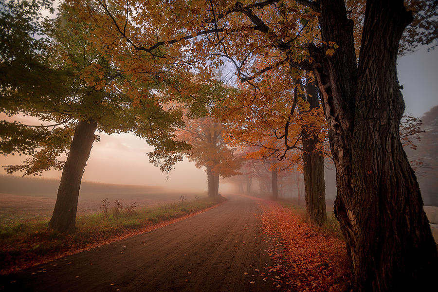 Autumn Peace Photograph by Tim Kirchoff