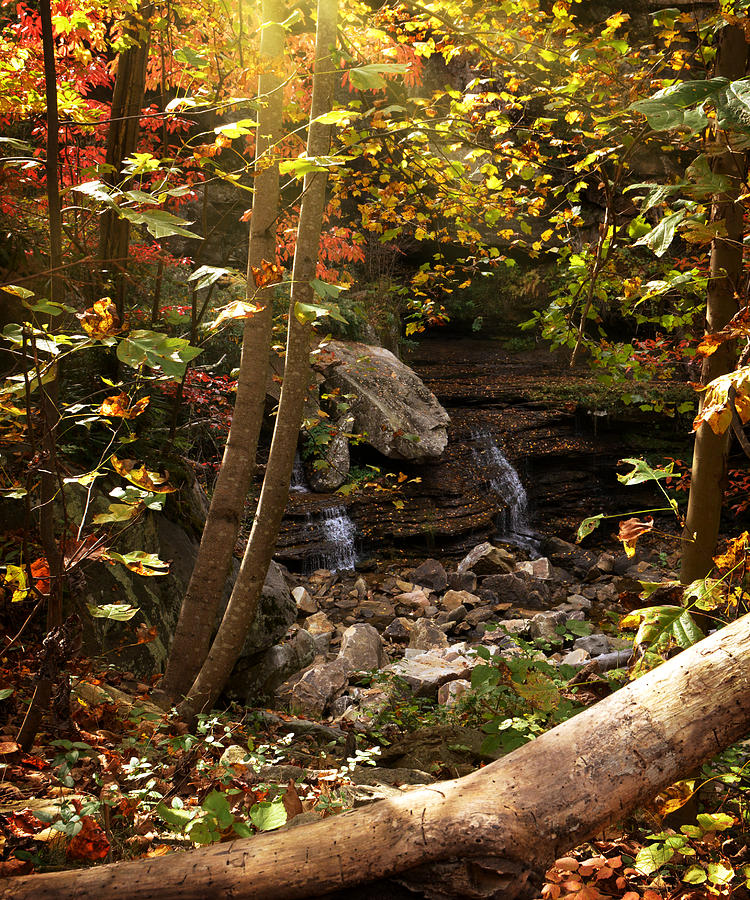 Autumn Peak Photograph by Lisa Lambert-Shank