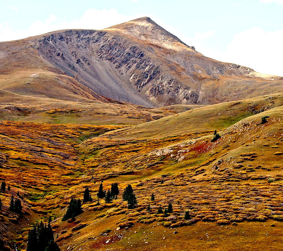 Autumn Peaks In The Rockies Photograph
