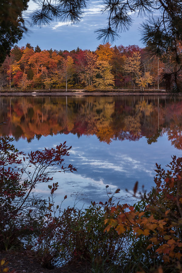 Autumn Peeking Through Lake Horicon NJ Photograph by Terry DeLuco