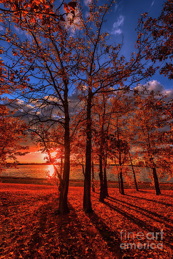 Sunset Photograph - Autumn Perfection  by Ian McGregor