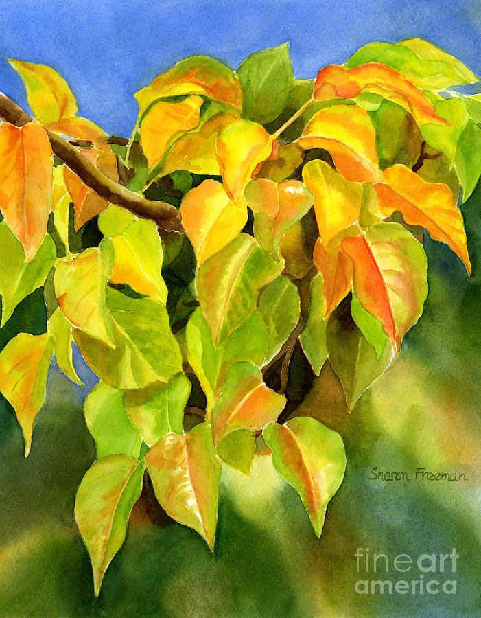 Autumn Leaves Painting - Autumn Plum Leaves by Sharon Freeman